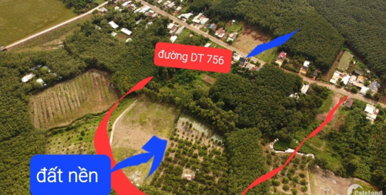 Cần bán gấp đất ở Hớn Quản Chơn Thành  Xã tân quan, THCS Tân quan chưa tới 900m