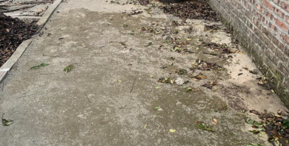 Chính chủ cần bán 51,8m đất Phụng Châu