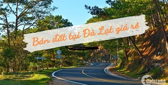 Cần Bán Đất Tại TP Đà lạt 1120m2