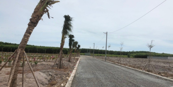 Đất nền sổ đỏ trung tâm huyện Đất Đỏ, sổ riêng, có thổ cư xây dựng tự do