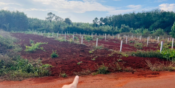 Bán đất chính chủ ngay trung tâm xã Long Tân ,Đất Đỏ,BRVT dt 500m2 mặt tiềnđường