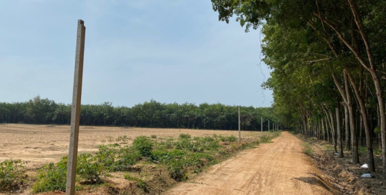 Bán lô đất ngộp có thể lên thổ cư sát nhựa DT749B gần chợ Minh Hòa,Dầu Tiếng,BD