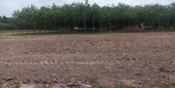 xã Minh Thạnh Huyện Dầu Tiếng Tỉnh bình dương