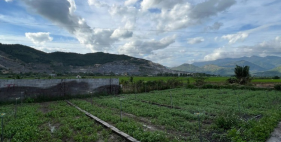 Chính chủ bán đất thổ cư Diên Khánh - (xã Diên sơn, Khánh hoà)