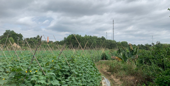 Bán 5900m vườn Diên Lâm view sông Cái giá chỉ 1.5 tỉ