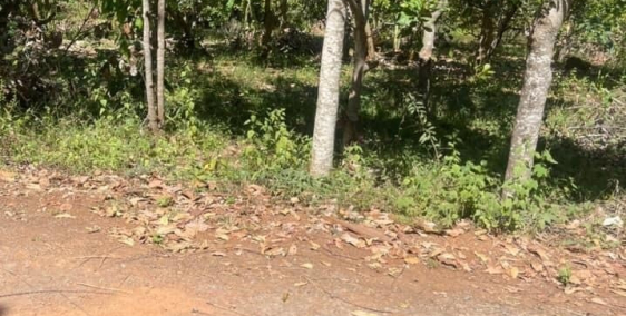 Đất An Khương - Hớn Quản - Bình Phước. Cho 45 ngày công chứng