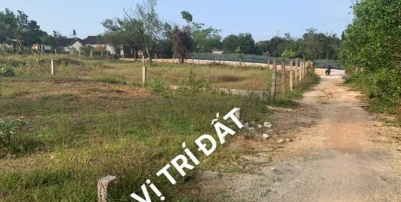 BÁN ĐẤT KIỆT Ô TÔ THỦY PHƯƠNG CHỈ 920 TRIỆU