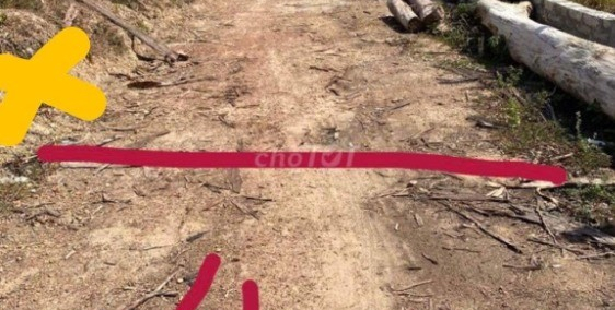 Đất kiệt Hồ Biểu Chánh. giá quá rẻ