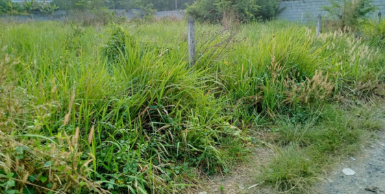 Đất xã Tân An Hội, Đường Nguyễn Văn Khạ. Sổ riêng, Thổ cư hết đất.