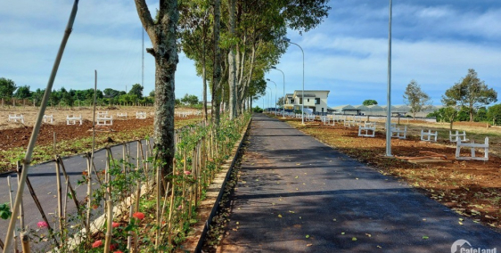 Bán đất nền biệt thự vườn Eden Hills_Lâm Hà_Lâm Đồng, 652m2 (250m2 ONT) 2,823 tỷ