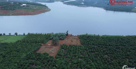 Bán 1HA6 đất mặt Hồ Phúc Thọ tại Lâm Hà – Lâm Đồng 1,3 tỷ/ sào