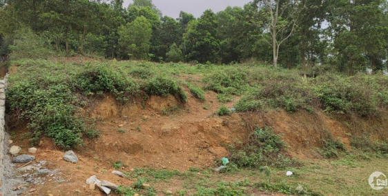 Chính chủ gửi bán 1200m 198,6 ont view cánh đồng gần KCN Nhuận Trạch