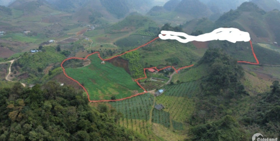 Bán đất Mộc Châu DT 3,6ha 3000m đất ở tại Phiêng Luông giá 370k/m2