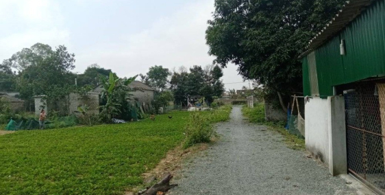 Đất Nghi Thái hấp dẫn cho đầu tư và ở