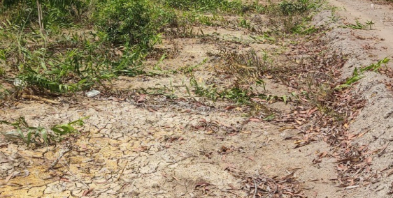 Bán đất chính chủ, sổ hồng đầy đủ