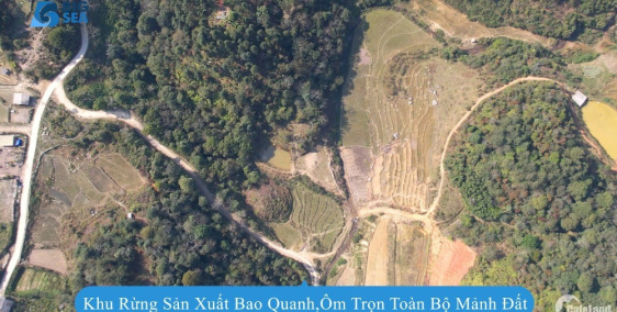 Lô đất 2500m2 có 102 bên hồ Séo Mý Tỷ Sa Pa