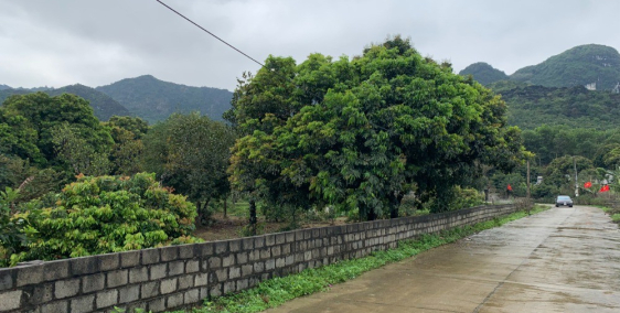 Đầu tư sinh lời khủng với lô đất Chính chủ đất nhà vườn nghỉ dưỡng với diện tích