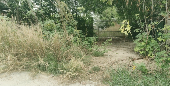 Manh đất vuông đẹp đã đủ thổ cư xây biệt thự