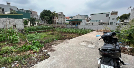 Bán đất ngõ 29 Lê Cảnh Tuân, ph Hải Tân, TP HD, 50.1m2, mt 4.35m, hướng đông nam