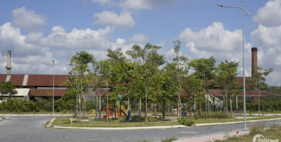 Đất Nền Full Thổ Cư Đường DT785- Giồng Cà SHR Công Chứng Ngay