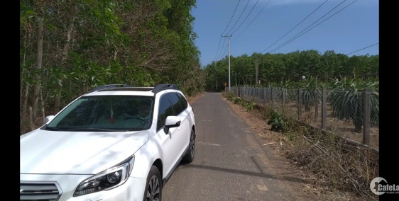 Hơn 1,4 mẫu đất tại xuyên mộc, huyện xuyên mộc cần bán.