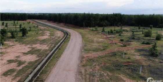 Bán 8517m2 đất sào sông luỹ gần cv safari và trang trại dưa lưới Lh 0938677909