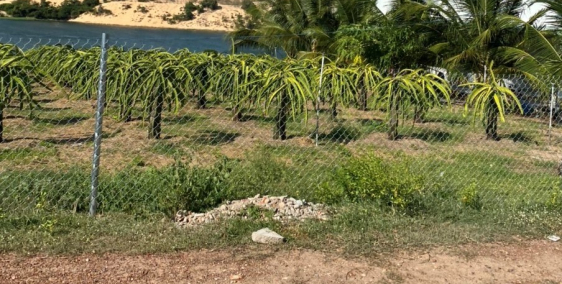 Bán 10,880m2 đất sào hoà thắng gần ĐT 716 sổ có đường chỉ 1,5 tỷ Lh 0938677909