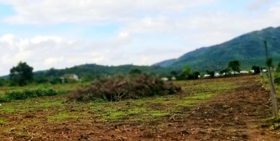 Chính Chủ 22,5m đất mặt tiền đẹp nhất đường Đinh Công Tráng,Lộc Châu,BL,dài 76m