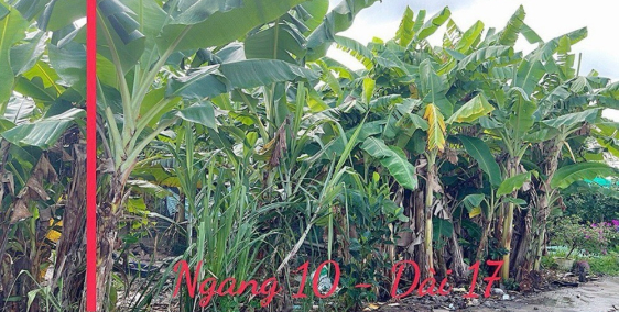 Nền 173m2 gần cầu sắt Nguyễn Văn Trường lộ ô tô 4m