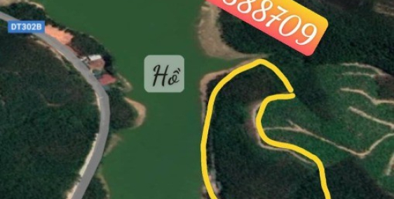 Bán nhanh  2ha đất lâm nghiệp gần Sân Golf