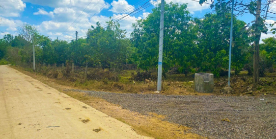 Đất Chính Chủ tại Ngọc Định - Định Quán - Đồng Nai