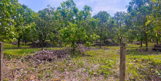 Ngọc Định - Định Quán - Đồng Nai