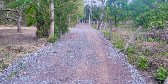 Bán mảnh vườn tại Ngọc Định - Định Quán - Đồng Nai