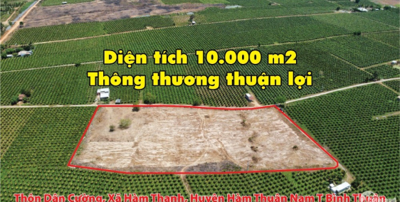 Cần bán10.000m2 đất có mặt tiền 150m đường betông Gía đầu tư tại Bình thuận