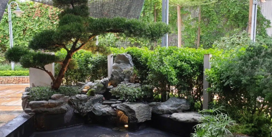 Bán đất Nguyễn Thị Chiên 1,5tr/m2 giá rẻ bất ngờ luôn