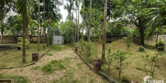 Nhà vườn Củ Chi giá rẻ xã Nhuận Đức 1180m2 giá 1ty410tr SHR, đường nhà nước