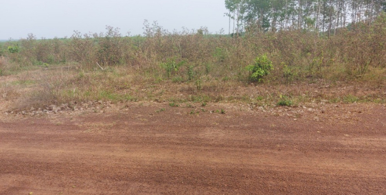 Đất sào sổ sẵn sát Kcn Ledana giá rẻ tiềm năng cao