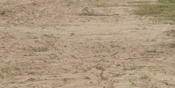 Cần bán thửa 27913m2 xã Tam An, Long Thành.