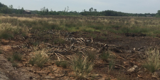 đất vĩnh thanh giá rẻ chỉ 1ty450 trọn sổ