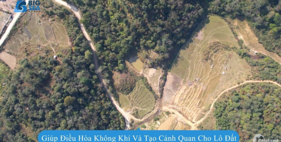 Mảnh đất 1100m2 Tả Phìn Sa Pa dành cho nhà đầu tư có tầm nhìn