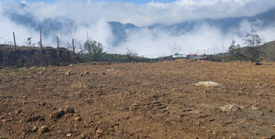 Bán đất nghỉ dưỡng tại tổ 1, phường Ô Quý Hồ, thị xã Sapa, tỉnh Lào Cai