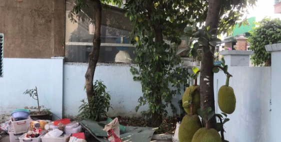 Cho thuê sân vườn 8x25m đường xe tải phường Quyết Thắng.