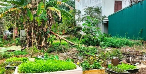 Gia đình cần bán nhanh 2 lô vạn phúc cực đẹp ngay gần đường đôi Phạm