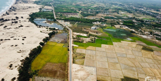 hết tiền tiêu tết bán lô MẶT TIỀN Biển đường HÙNG VƯƠNG Lagi 101mx70m