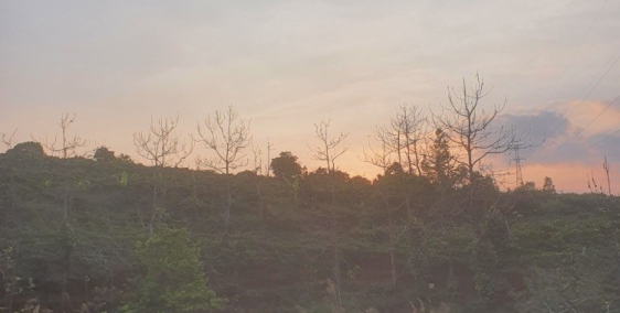 Không quá nhiều thửa đất Giá rẻ - View đẹp, Giá chưa qua đầu tư.Pleiku -Gia Lai