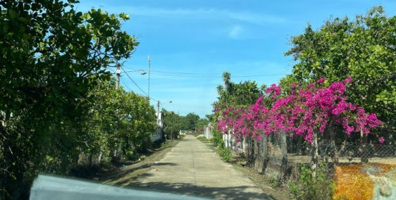 Bán vườn Điều hơn 5 sào xã Bắc Ruộng , Tánh Linh , Bình Thuận