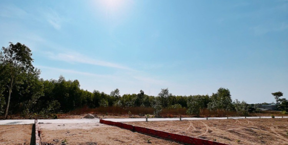 Ngộp cọc sang gấp 254m2 đất sổ đỏ đất gần biển lộc an