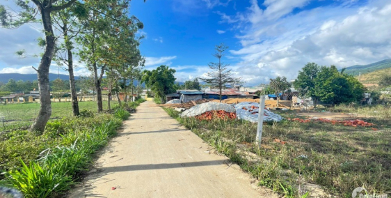 Chính chủ bán 10x28.8 tại khu kinh tế mới Lạc Xuân - Đơn Dương giá 780tr