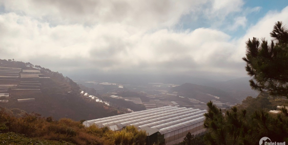 Bán 571m2 đất nông nghiệp, sổ riêng tại Phường 12, TP Đà Lạt. Giá ~10tr/m2