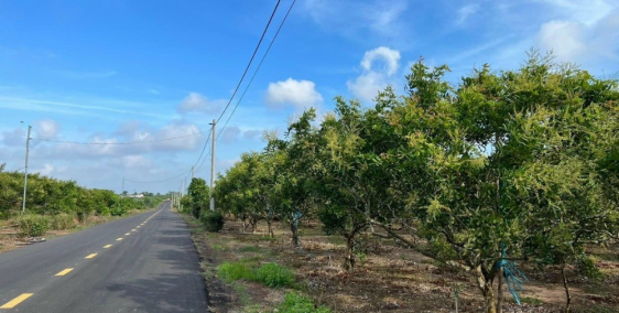 Bán đất 1050m2,Xã Bình Châu, H. Xuyên Mộc, Bà Rịa